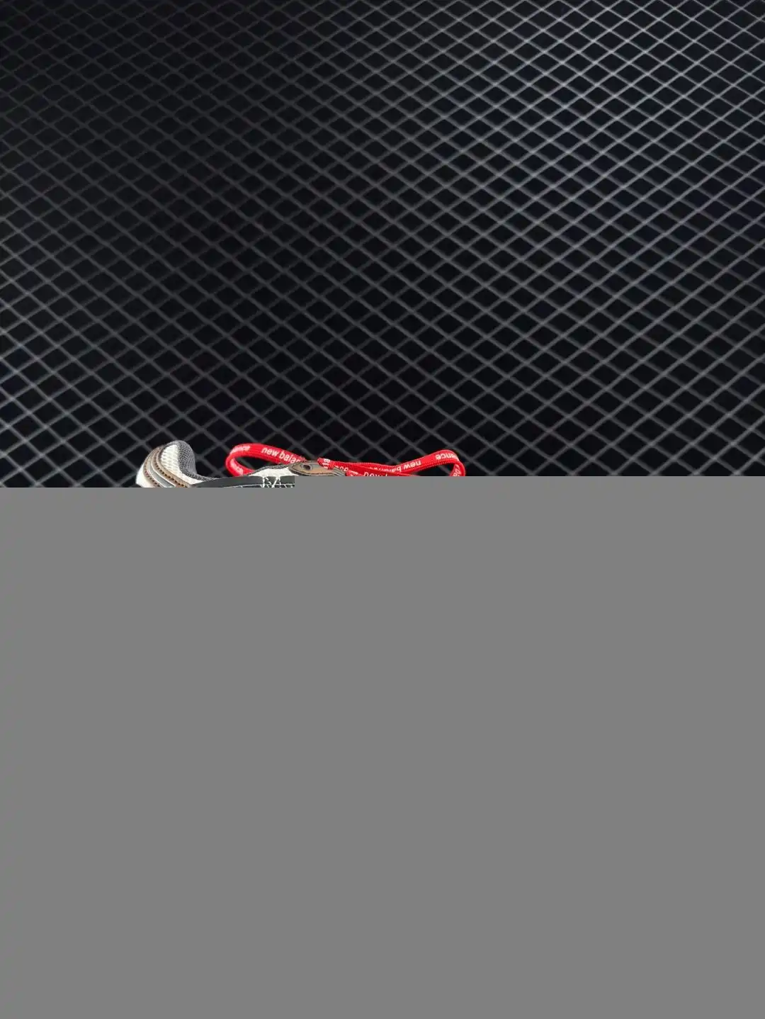 wsxc1750174872963_1.webp
