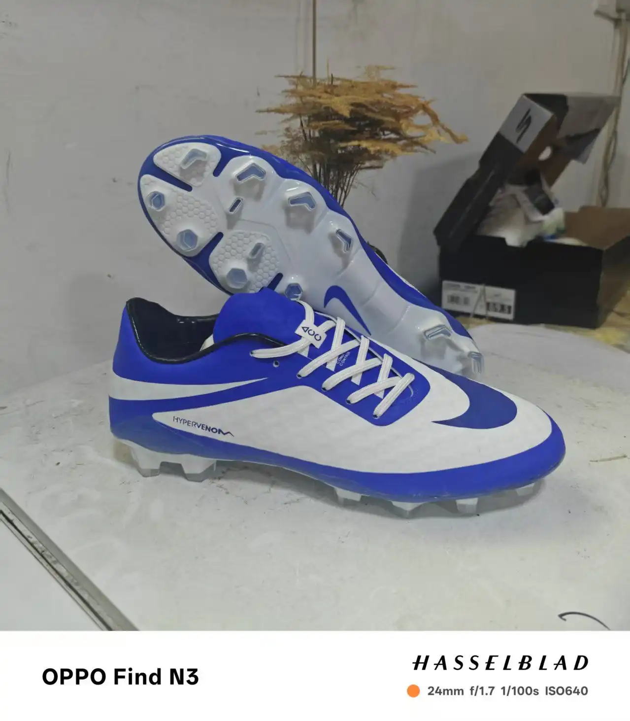 微信图片_20250519165914.webp