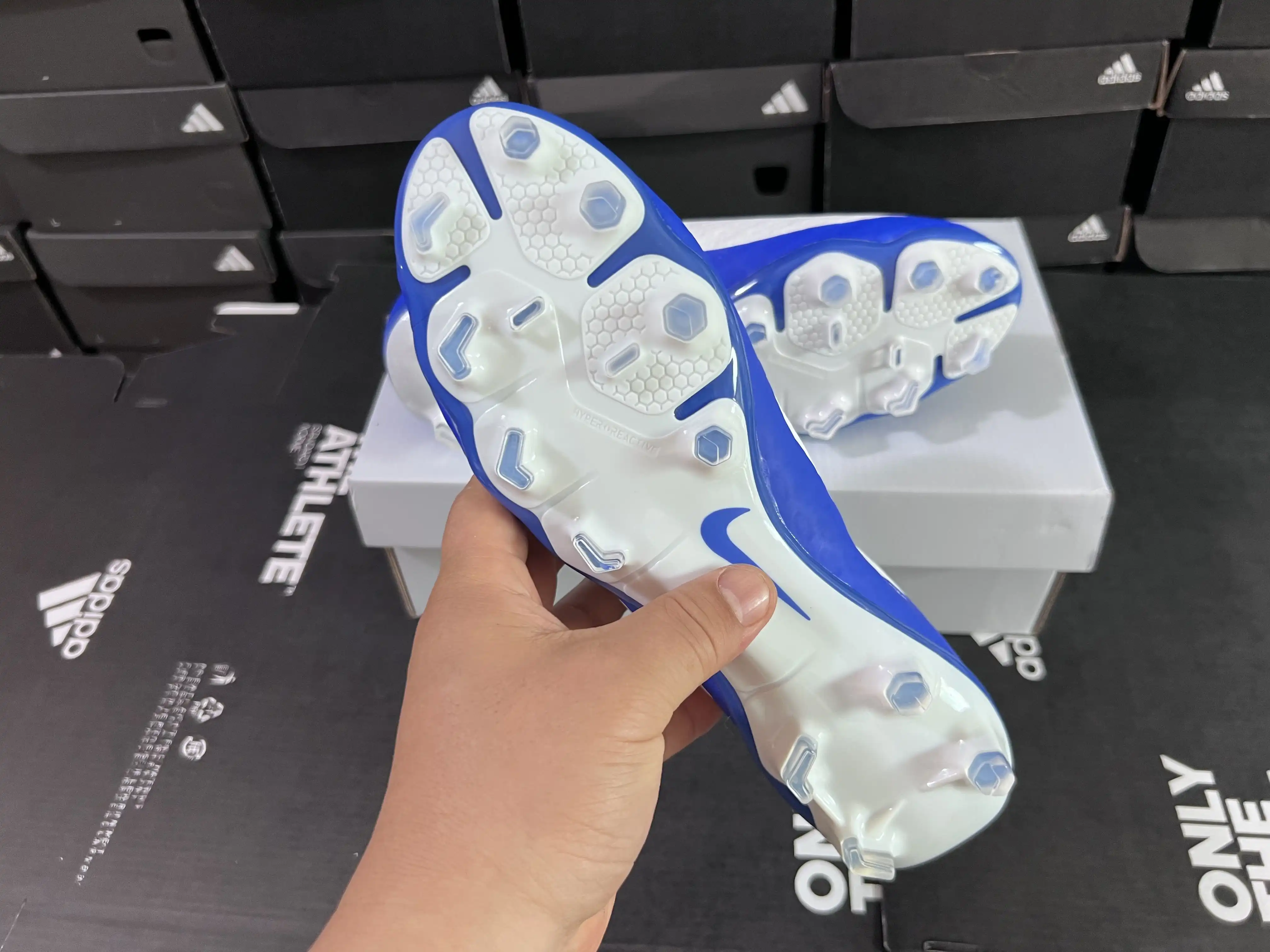 IMG_5308.webp