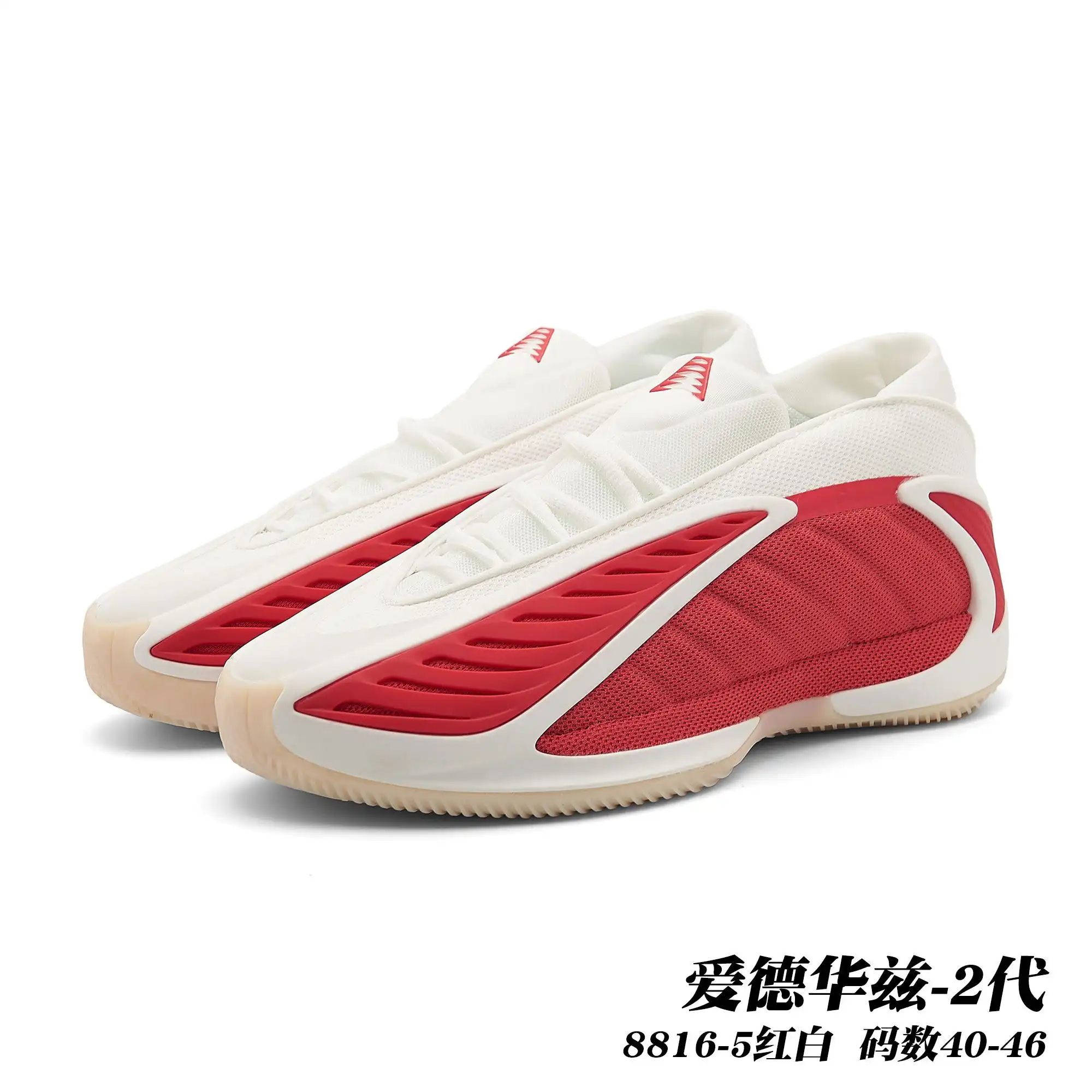 81ac0755.webp