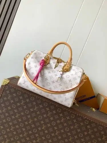 LV handbag Louis Vuitton women's bag Louis Vuitton crossbody bag uses imported top-grade original le
