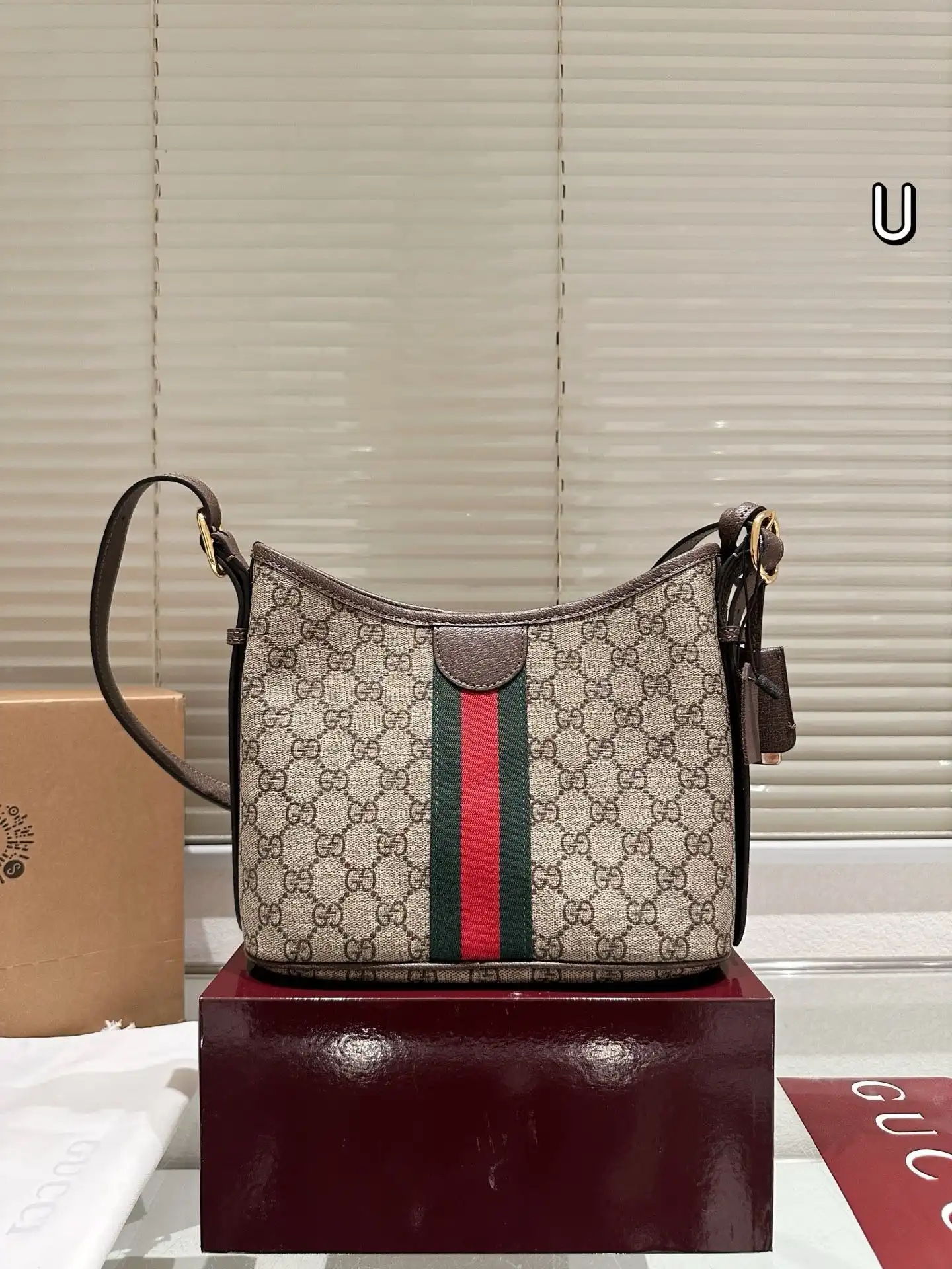 C2301550 (3).webp