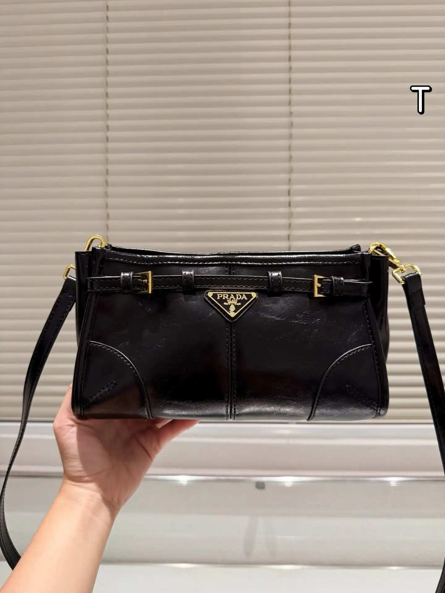 C2301350 (5).webp