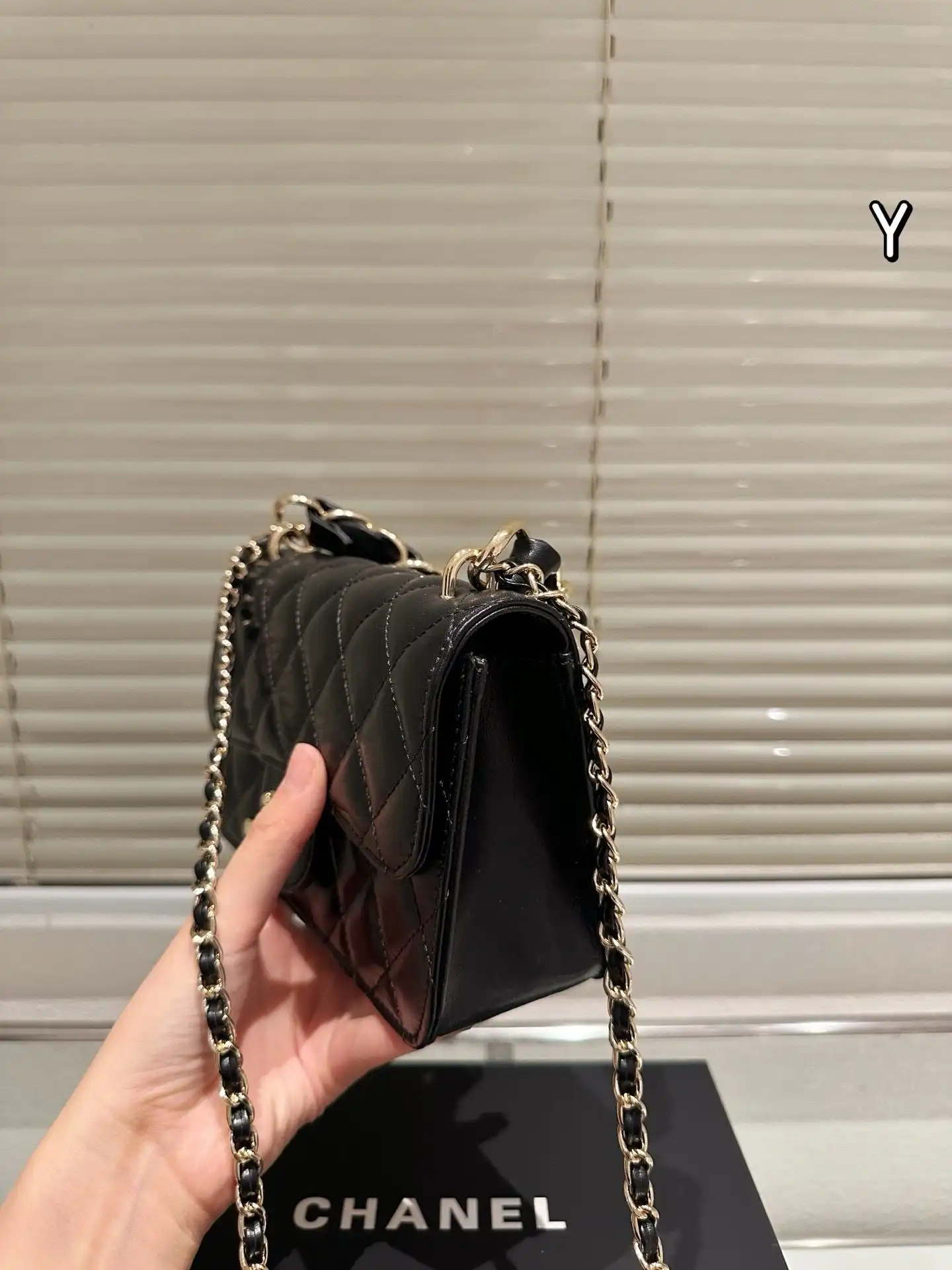 C2301550  (4).webp