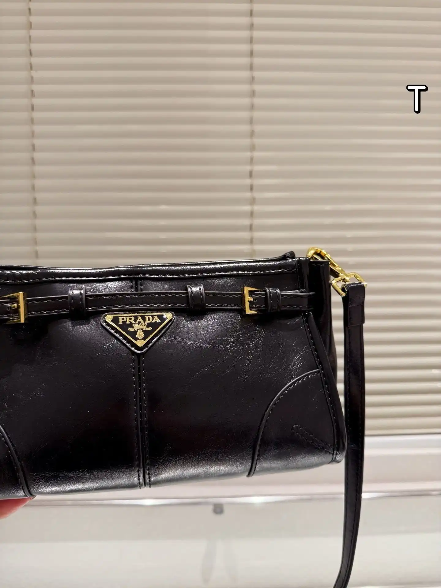 C2301350 (4).webp
