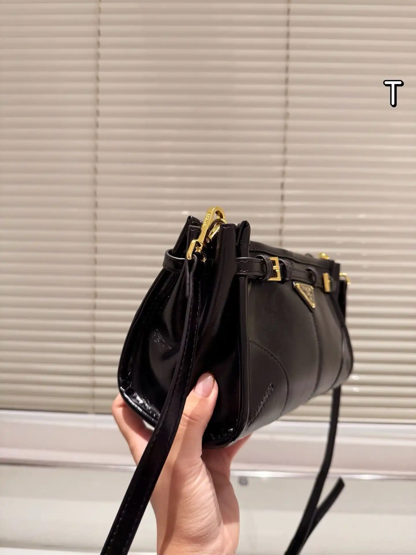 C2301350 (6).webp