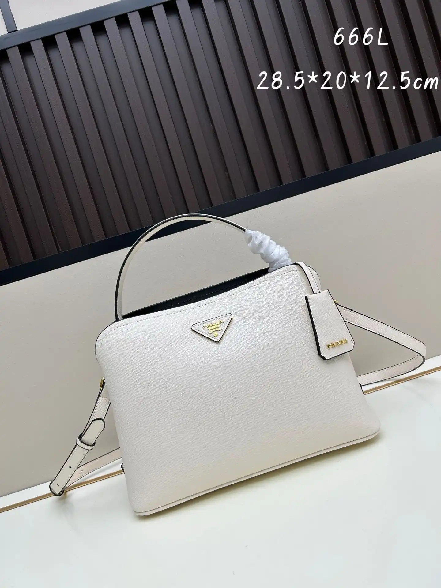 KK02550  (1).webp