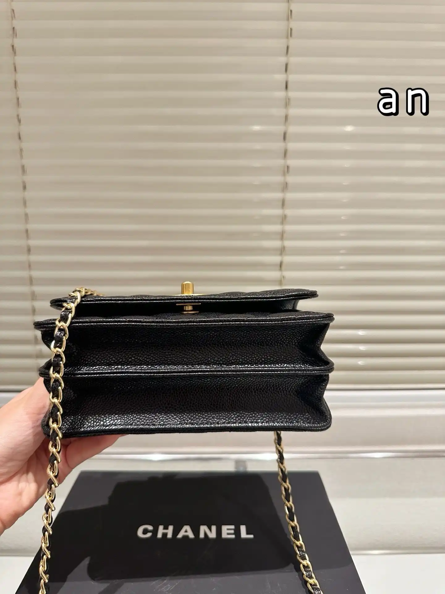 C2301450 (9).webp