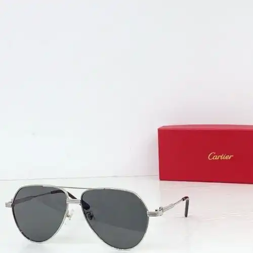 CT0303S