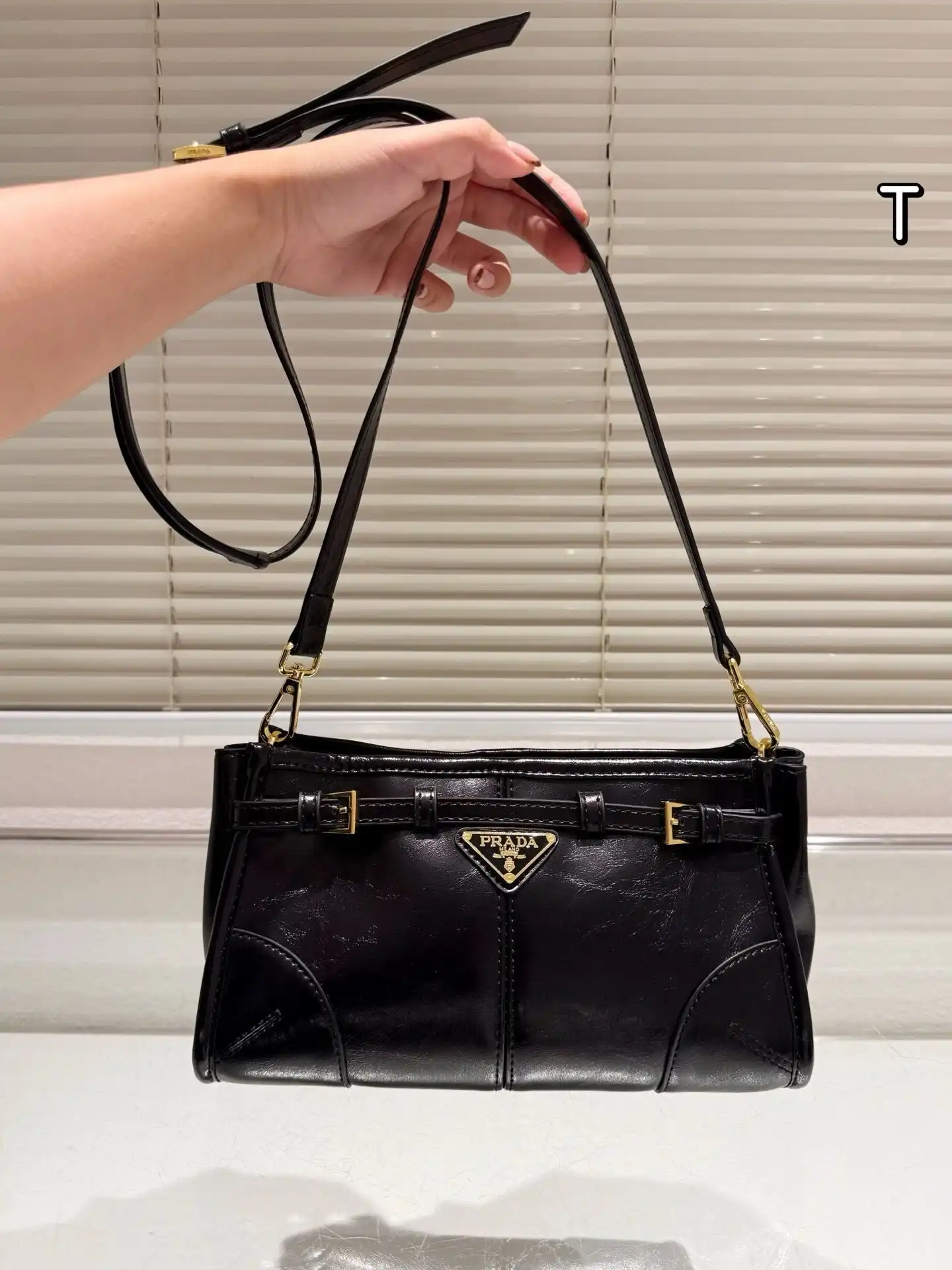 C2301350 (2).webp