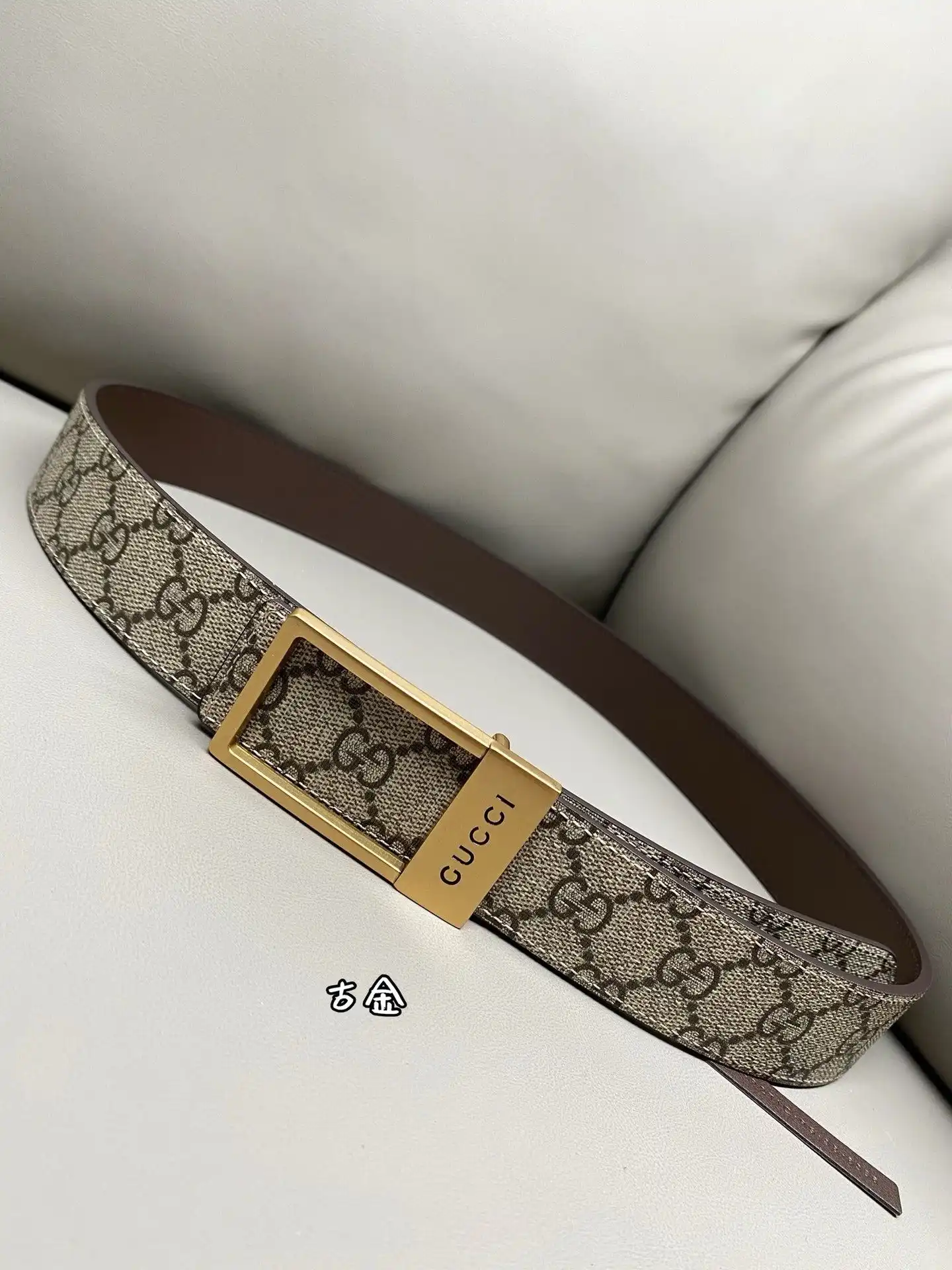 PP8801250 (22).webp