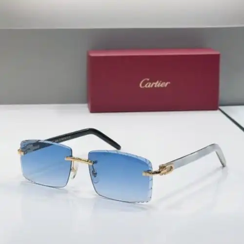 CT0243S