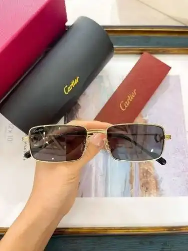 CT0501S