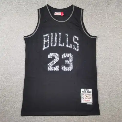 Bulls No. 23 Michael Jordan Retro Snake Pattern