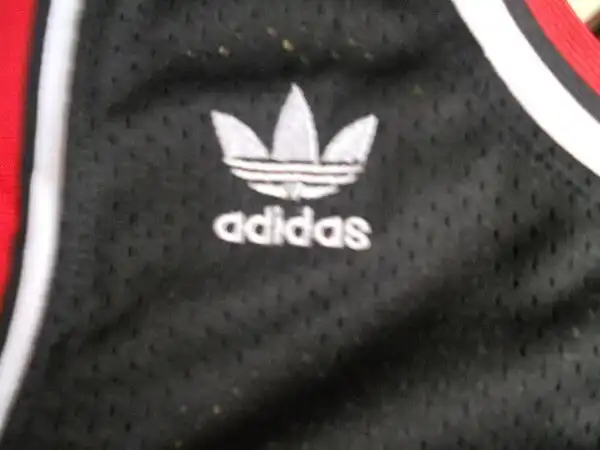 DSCN1466.webp