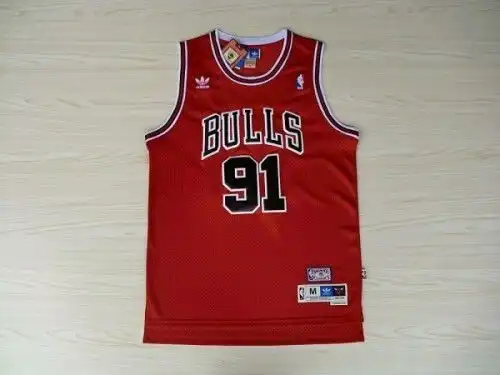 Bulls No. 91 Dennis Rodman Red