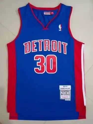 Pistons No. 30 Ben Wallace Retro Blue