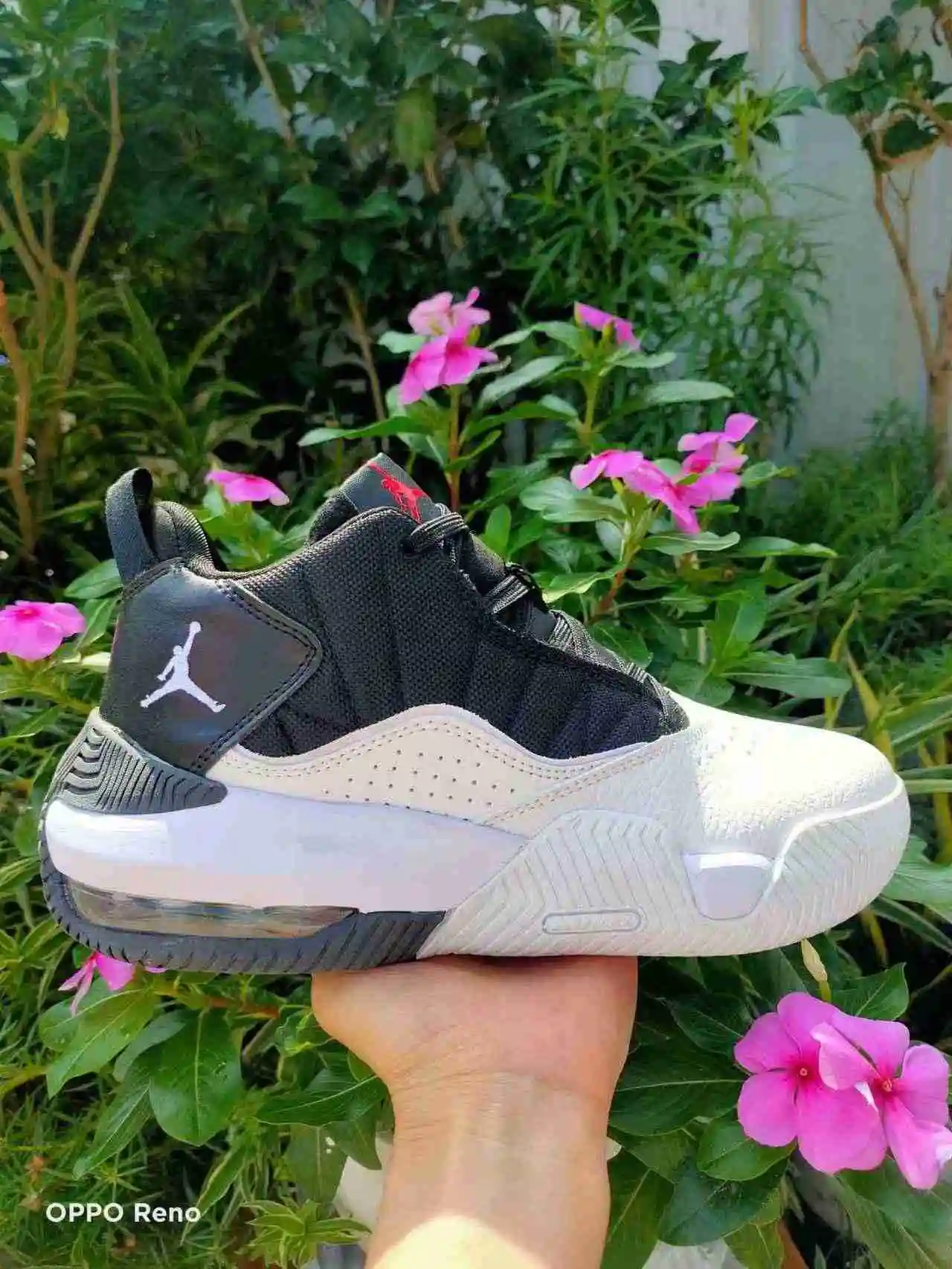 微信图片_20230616112447.webp