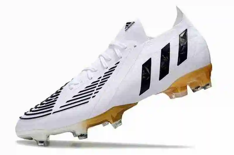 DSC_1000.webp