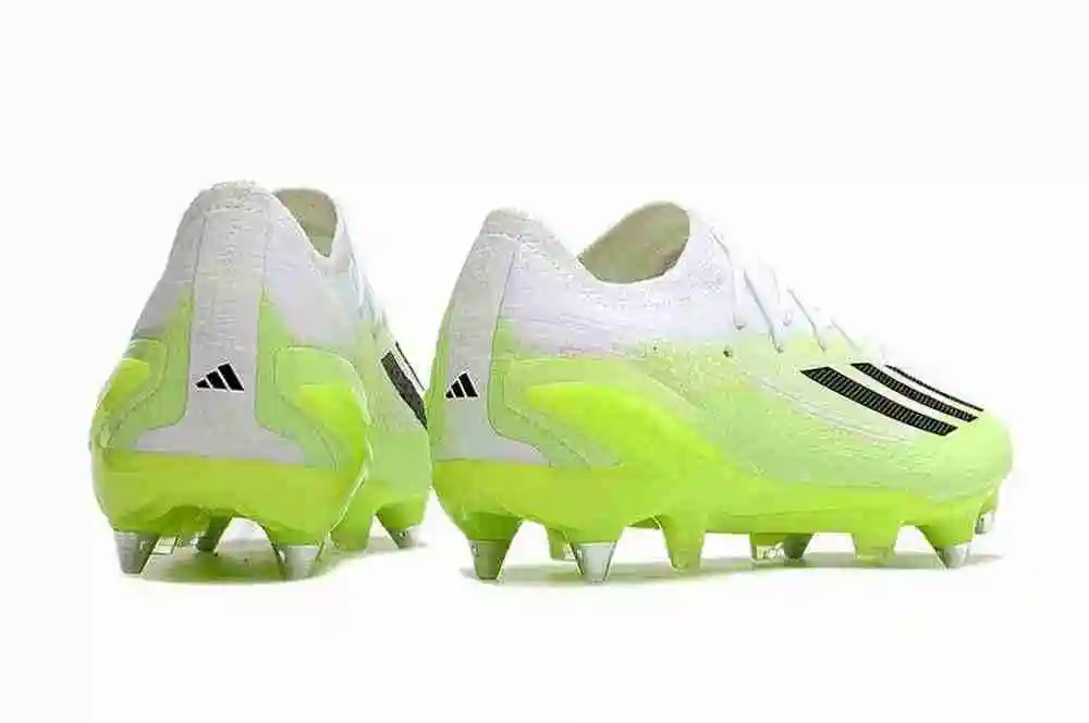DSC_4898.webp