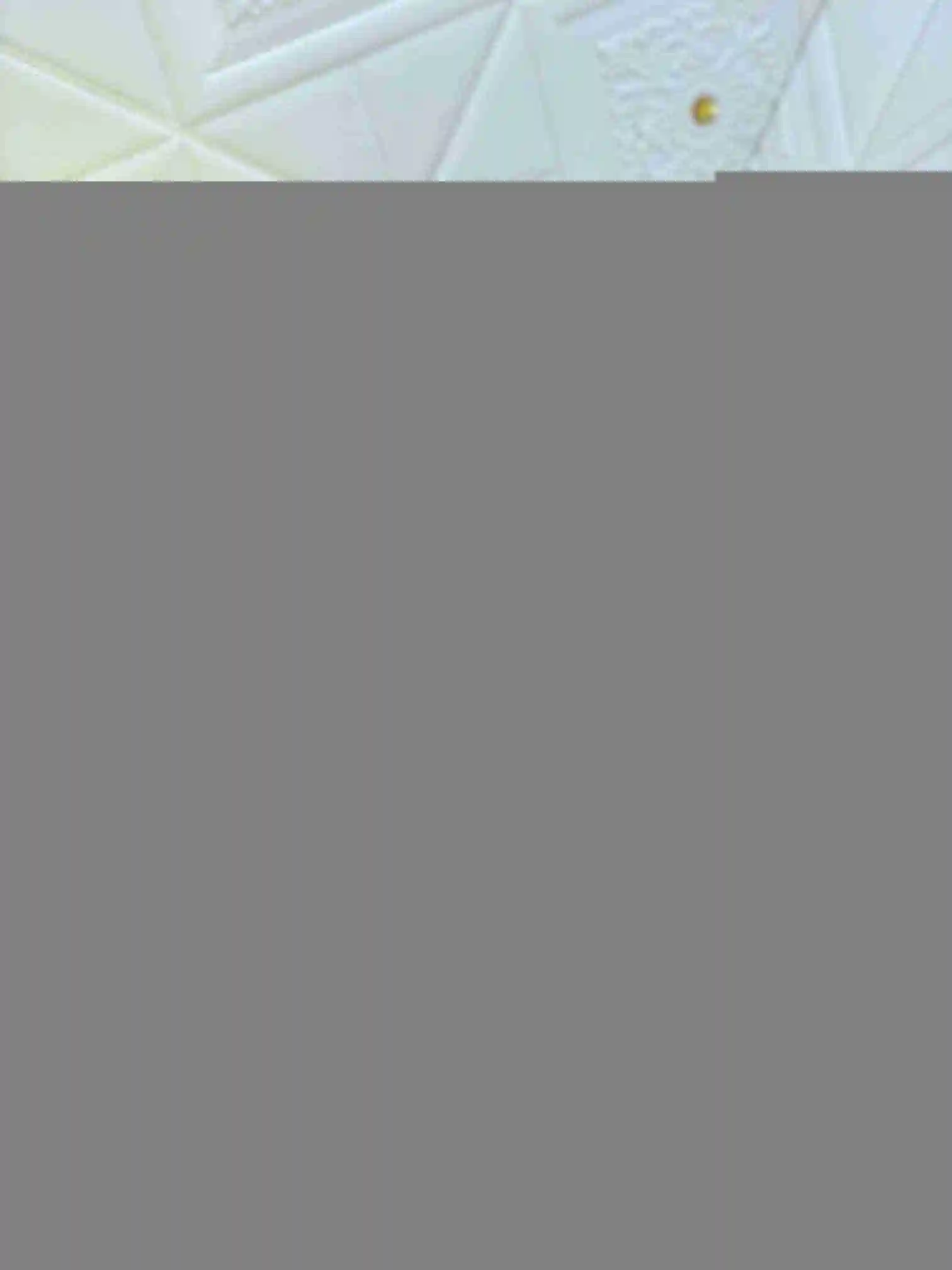 NF002750 (13).webp