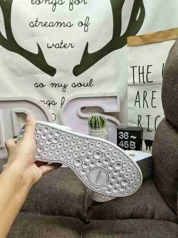 IMG_20221224_011009.webp