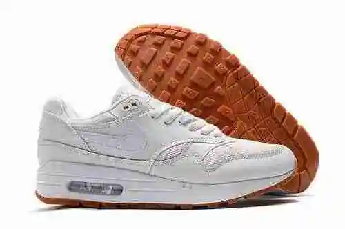 Nike Air Max 1 