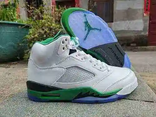 AJ5 Jordan Dan 5ta Generación Blanco Verde 40-47