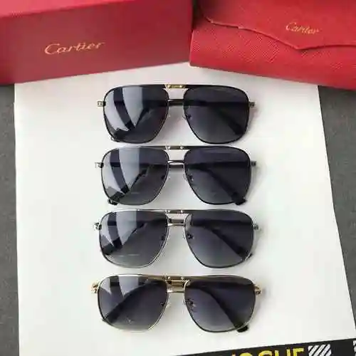 1980 Cartier Gafas de sol Cartier [Cartier Cartier Cartier] Ca0921 Gafas de sol polarizadas para hom