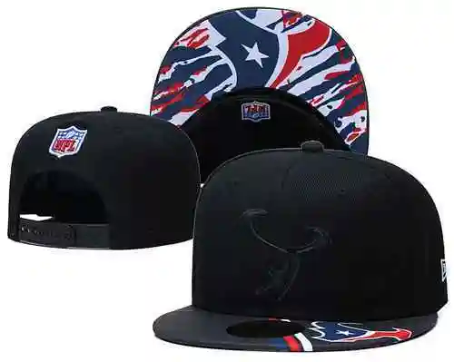 Houston Texans 
