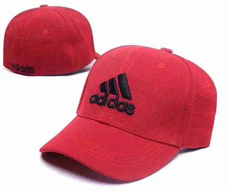 67dd9e9a.webp