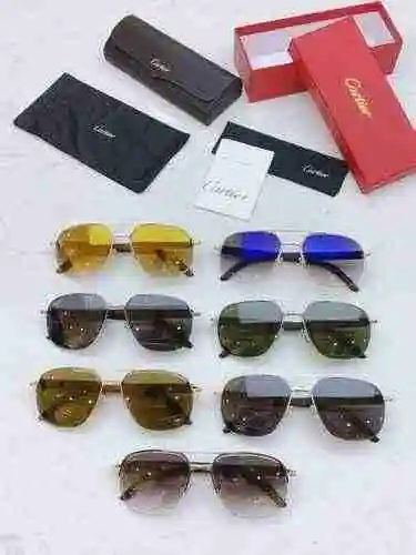 2700 gafas Cartier Cartier CT0569! Tamaño: 60 puertos 16-140