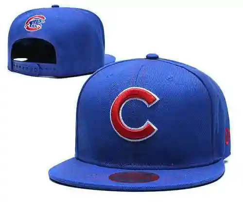 Cachorros de Chicago