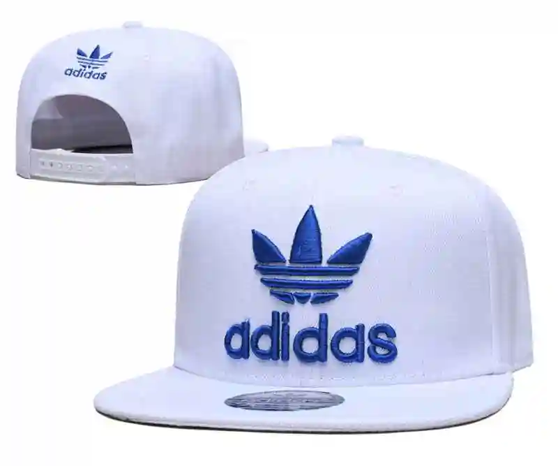 000 (3).webp