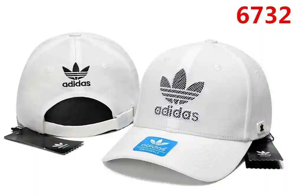 14_副本.webp