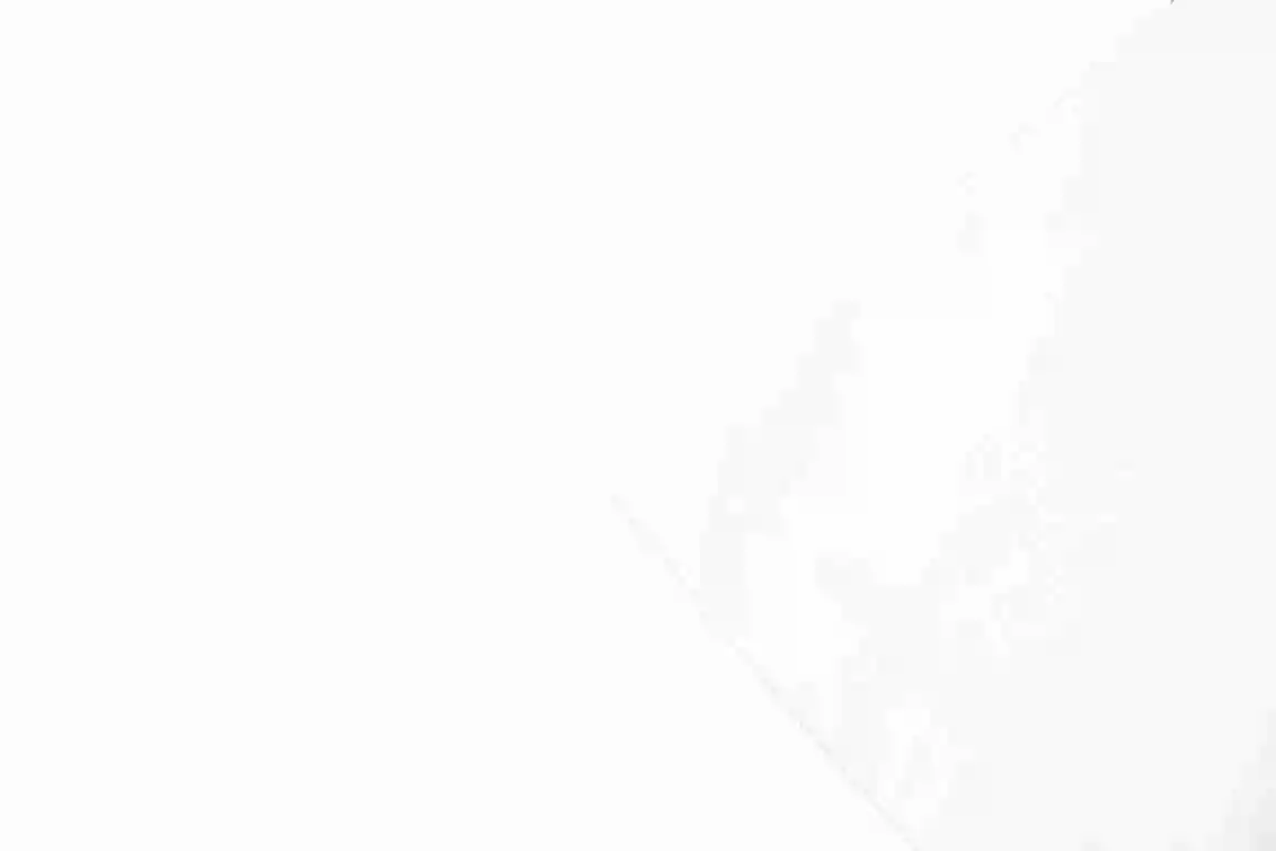 wsxc1688004995540_3.webp