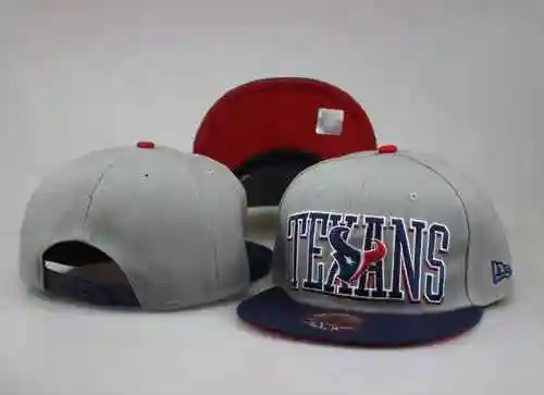 Houston Texas NFL