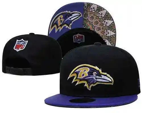 Los cuervos de Baltimore