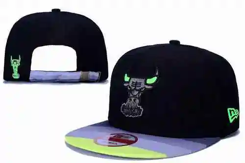Los Toros de Chicago