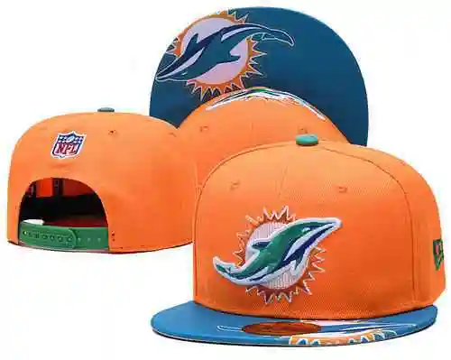 Miami Dolphins