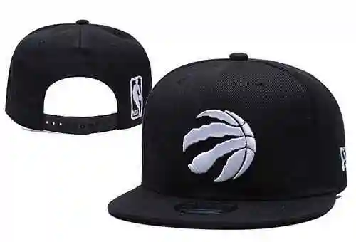 Raptores de Toronto
