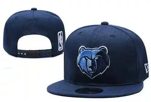 Grizzlies de Memphis Grizzlies de Memphis