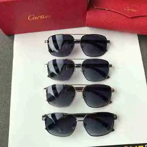 1980 Cartier Gafas de sol Cartier [Cartier Cartier Cartier] Ca0921 Gafas de sol polarizadas para hom