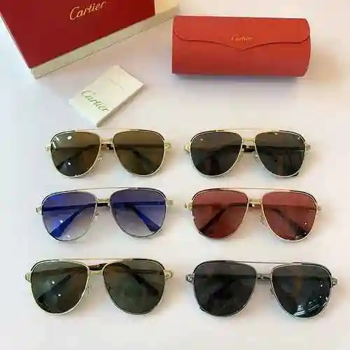3240 Gafas Cartie Cartie * Gafas de sol clásicas en el sitio web oficial de Cartie CT0192S Tamaño: 5