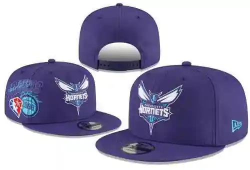 avispones de charlotte