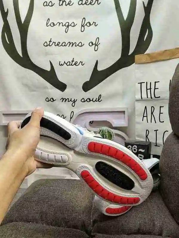 IMG_20230217_220413.webp