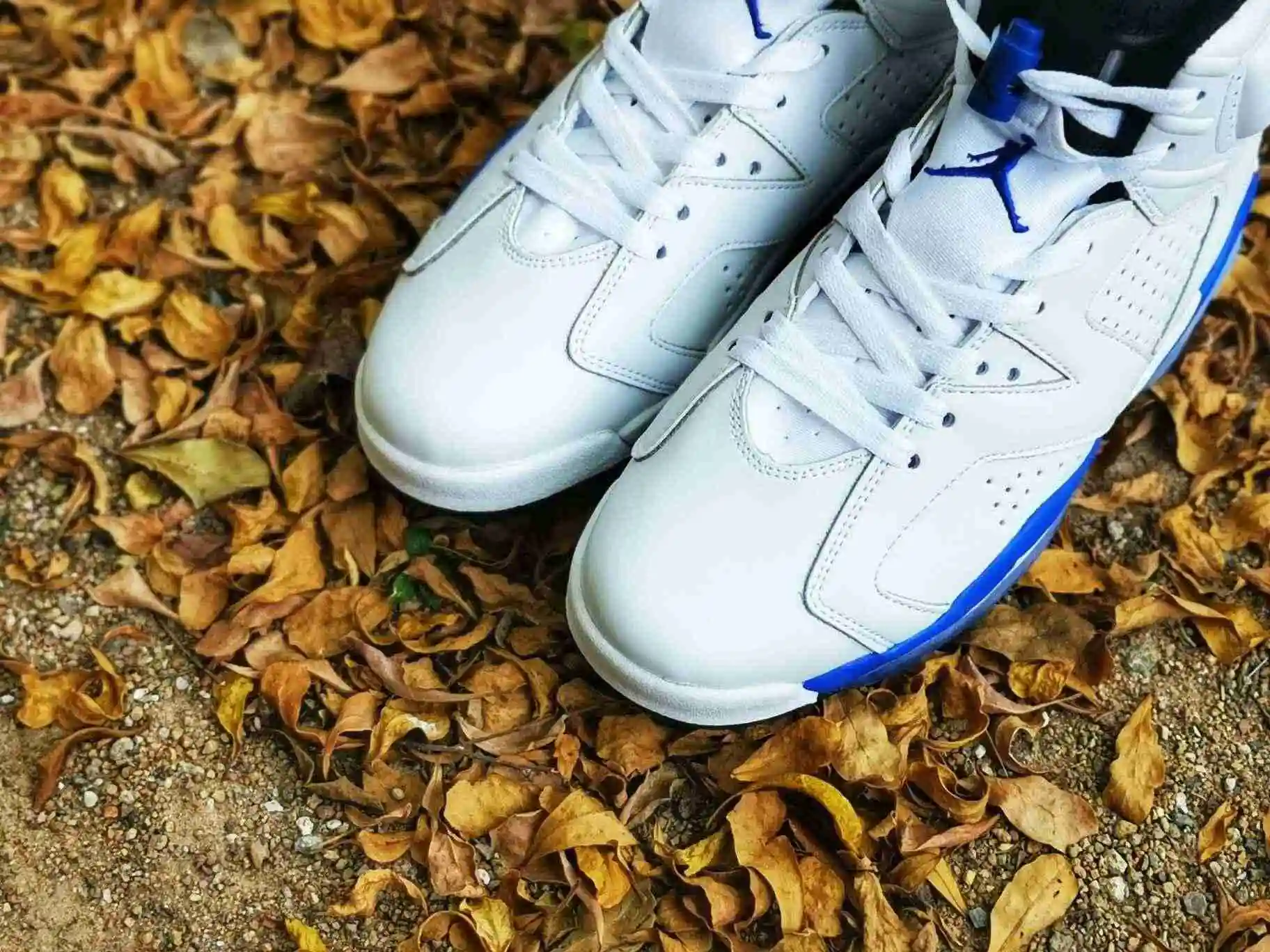 Air Jordan 6 白蓝二层超软36----47带半码 (6).webp