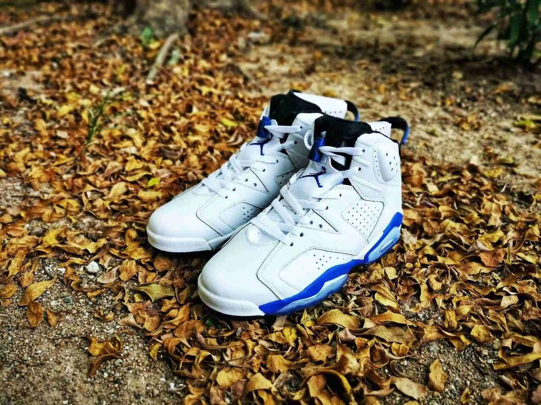 Air Jordan 6 白蓝二层超软36----47带半码 (4).webp