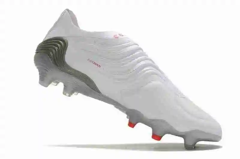 DSC_0220.webp