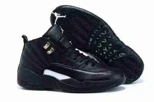 Zapato Hombre Oficial AJ12 All Black Envíos 41-47